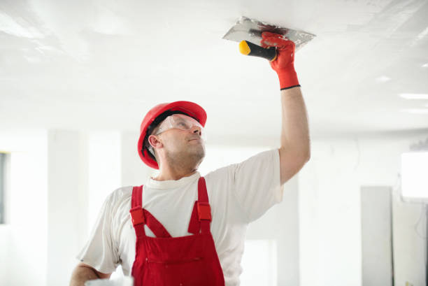 Best Basement Mold Removal  in Stuttgt, AR
