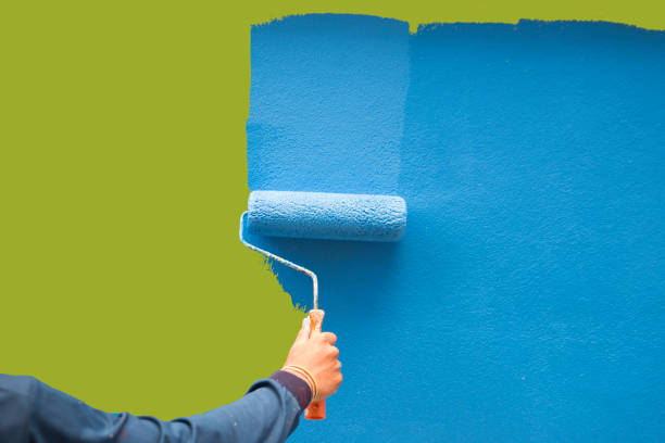 Professional Mold Removal in Stuttgart, AR
